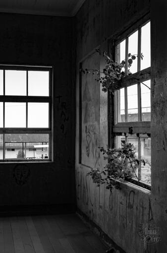 Por la ventana