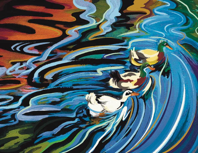 Patos nadando